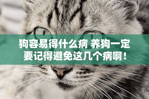 狗容易得什么病 養狗一定要記得避免這幾個病啊！