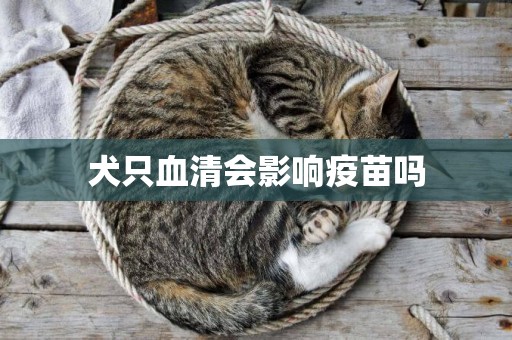 犬只血清會影響疫苗嗎