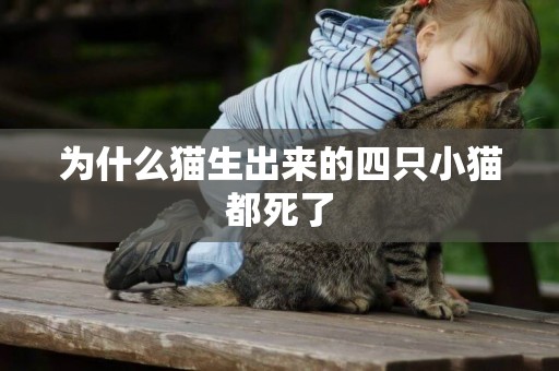 為什么貓生出來的四只小貓都死了