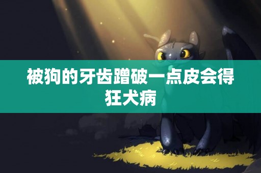 被狗的牙齒蹭破一點皮會得狂犬病
