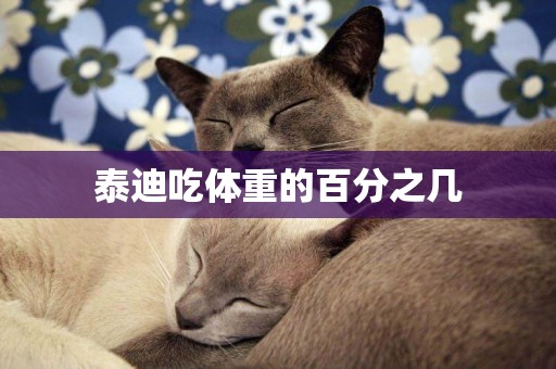 泰迪吃體重的百分之幾