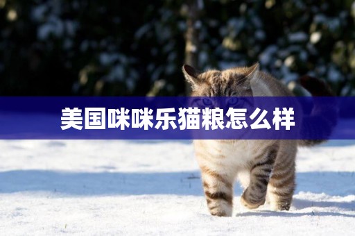 美國咪咪樂貓糧怎么樣