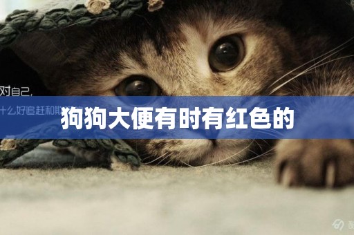 狗狗大便有時有紅色的