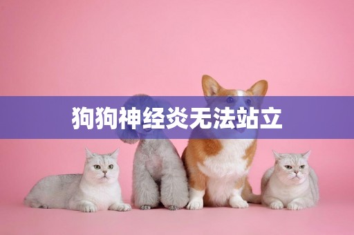狗狗神經炎無法站立