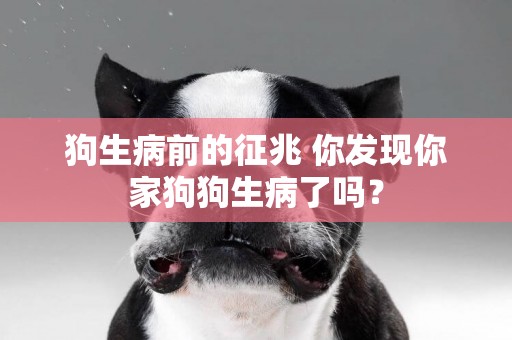 狗生病前的征兆 你發現你家狗狗生病了嗎？