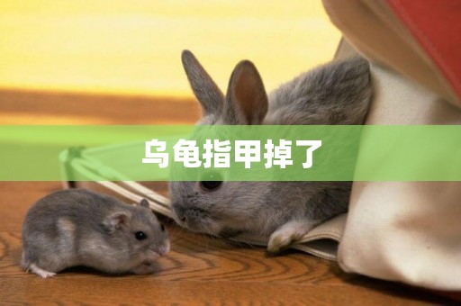 烏龜指甲掉了