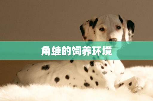 角蛙的飼養環境