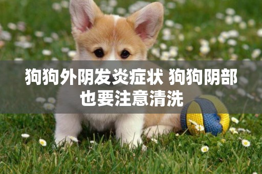狗狗外陰發炎癥狀 狗狗陰部也要注意清洗