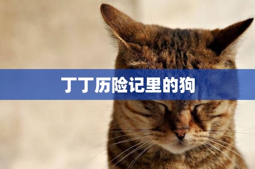 丁丁歷險記里的狗