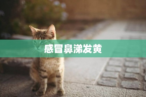感冒鼻涕發黃