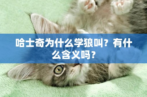 哈士奇為什么學狼叫？有什么含義嗎？