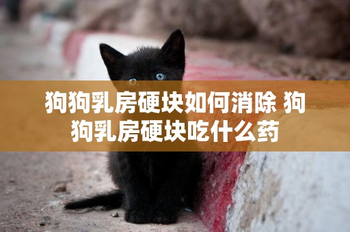 狗狗乳房硬塊如何消除 狗狗乳房硬塊吃什么藥