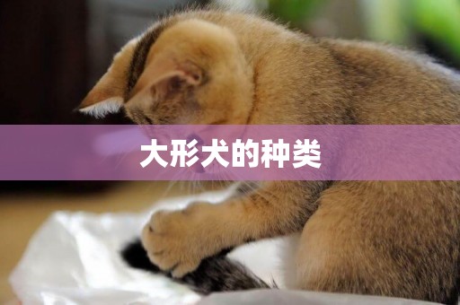 大形犬的種類