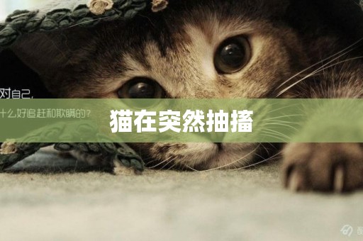 貓在突然抽搐