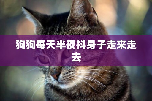 狗狗每天半夜抖身子走來走去