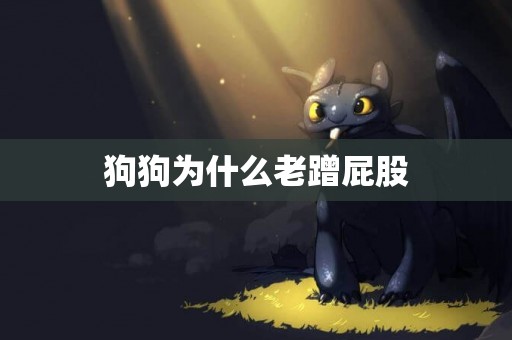 狗狗為什么老蹭屁股
