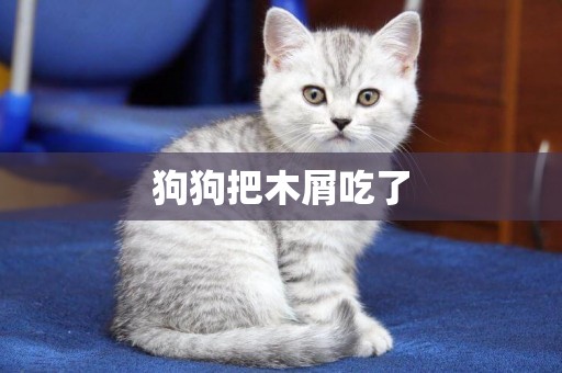 狗狗把木屑吃了