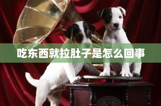 吃東西就拉肚子是怎么回事