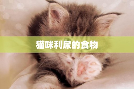 貓咪利尿的食物