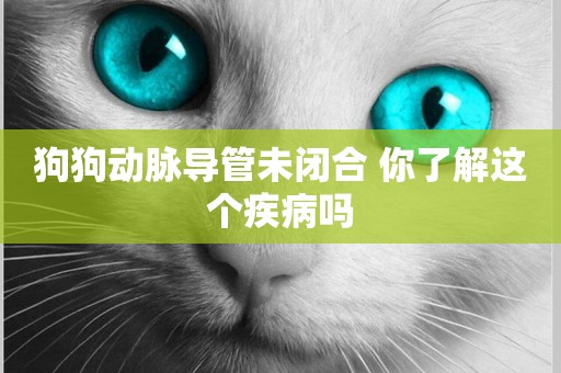 狗狗動脈導管未閉合 你了解這個疾病嗎