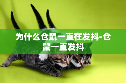 為什么倉鼠一直在發抖-倉鼠一直發抖