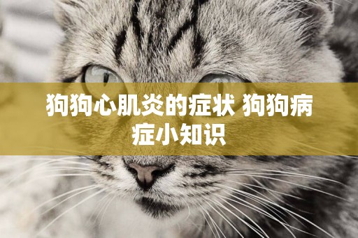 狗狗心肌炎的癥狀 狗狗病癥小知識