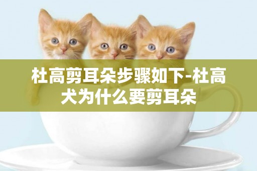 杜高剪耳朵步驟如下-杜高犬為什么要剪耳朵