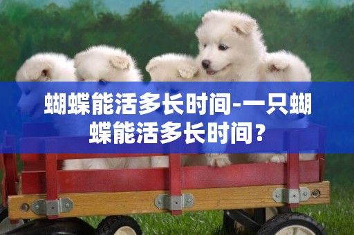 蝴蝶能活多長時間-一只蝴蝶能活多長時間？
