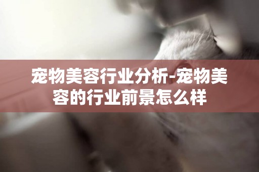 寵物美容行業分析-寵物美容的行業前景怎么樣