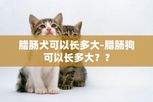 臘腸犬可以長多大-臘腸狗可以長多大？？