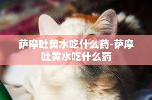 薩摩吐黃水吃什么藥-薩摩吐黃水吃什么藥