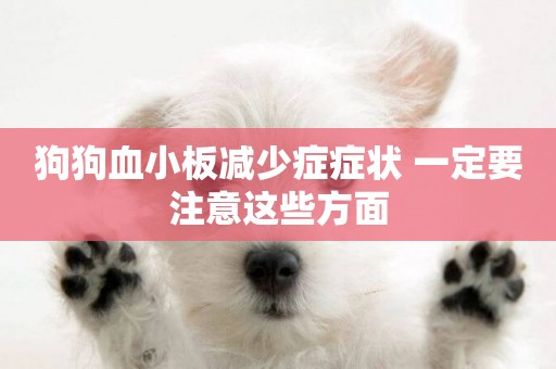 狗狗血小板減少癥癥狀 一定要注意這些方面