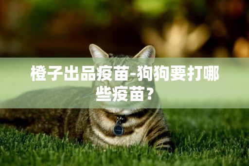 橙子出品疫苗-狗狗要打哪些疫苗？