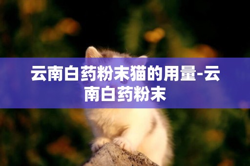 云南白藥粉末貓的用量-云南白藥粉末