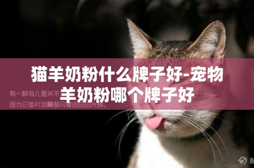 貓羊奶粉什么牌子好-寵物羊奶粉哪個牌子好