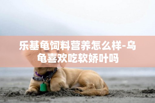 樂基龜飼料營養怎么樣-烏龜喜歡吃軟嬌葉嗎