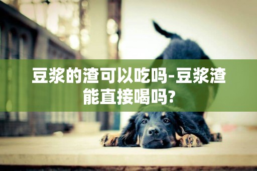豆漿的渣可以吃嗎-豆漿渣能直接喝嗎?