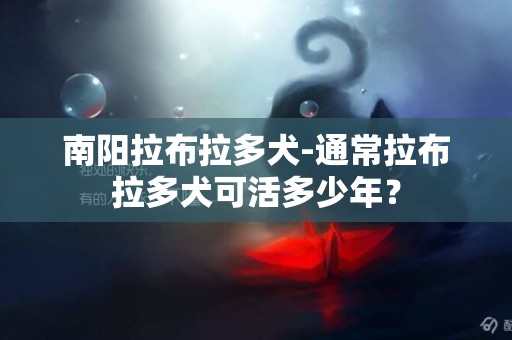 南陽拉布拉多犬-通常拉布拉多犬可活多少年？