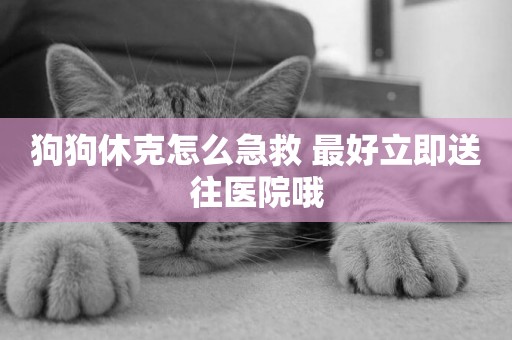 狗狗休克怎么急救 最好立即送往醫院哦