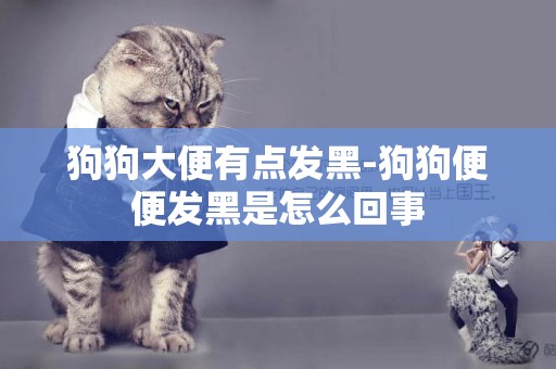 狗狗大便有點發黑-狗狗便便發黑是怎么回事
