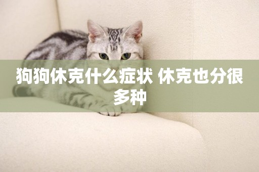 狗狗休克什么癥狀 休克也分很多種