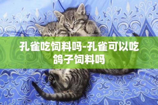 孔雀吃飼料嗎-孔雀可以吃鴿子飼料嗎