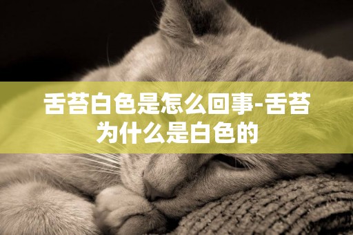 舌苔白色是怎么回事-舌苔為什么是白色的