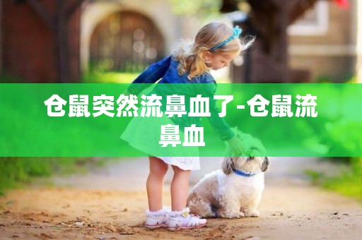 倉鼠突然流鼻血了-倉鼠流鼻血