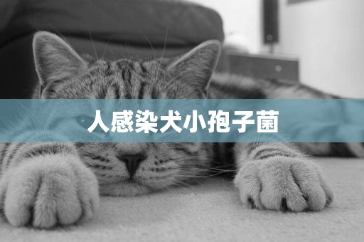 人感染犬小孢子菌