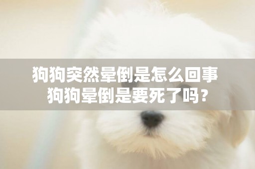狗狗突然暈倒是怎么回事 狗狗暈倒是要死了嗎？