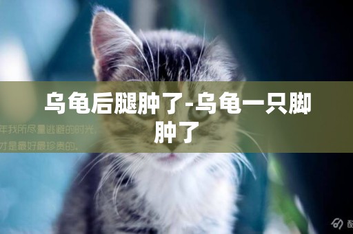 烏龜后腿腫了-烏龜一只腳腫了