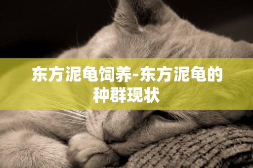 東方泥龜飼養-東方泥龜的種群現狀