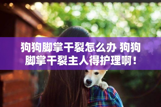 狗狗腳掌干裂怎么辦 狗狗腳掌干裂主人得護理啊！
