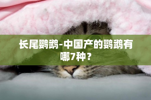 長尾鸚鵡-中國產的鸚鵡有哪7種？